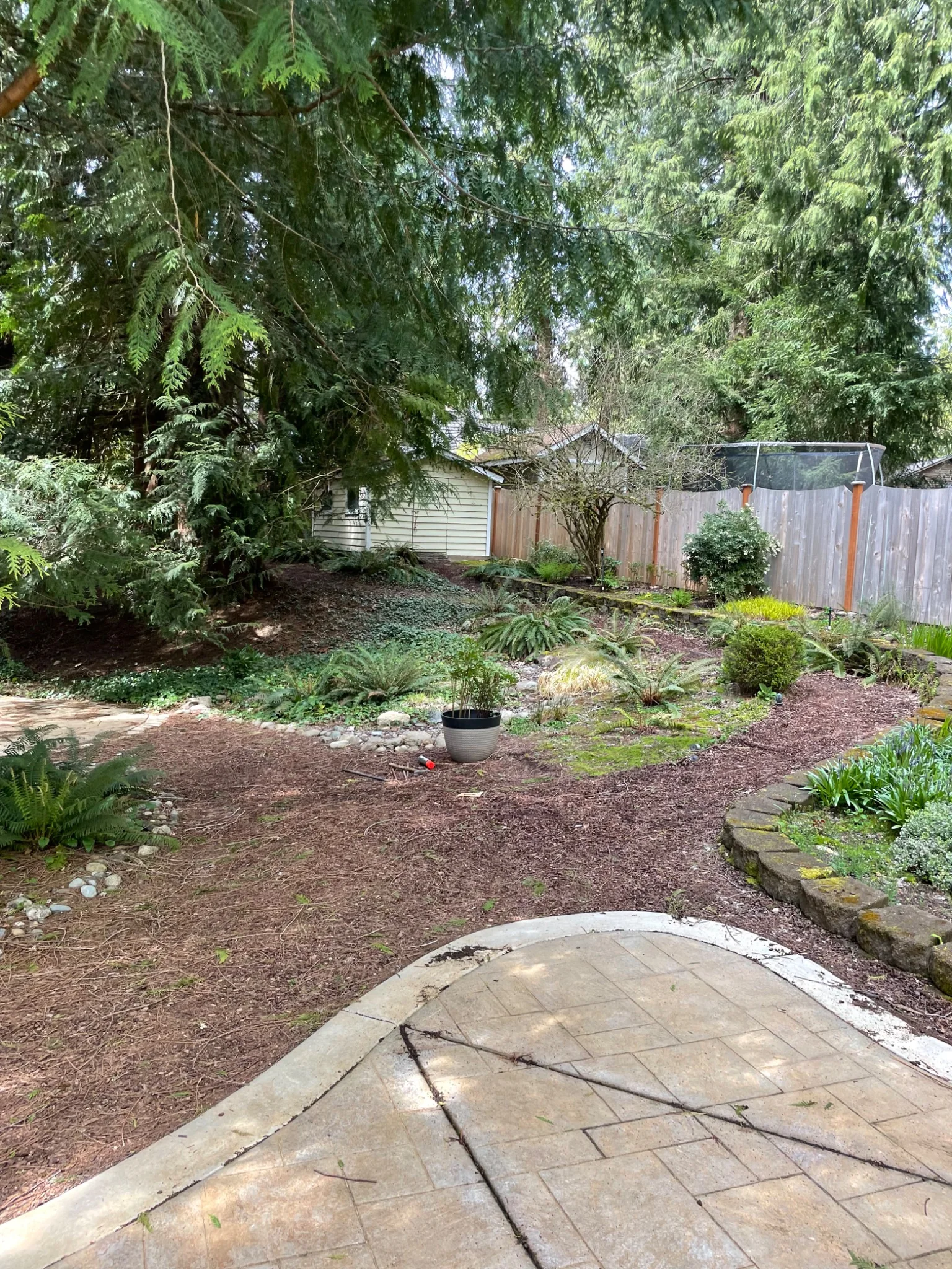 The wooded slope before construction
